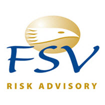Logo FSV Partner IIA Congres 2017