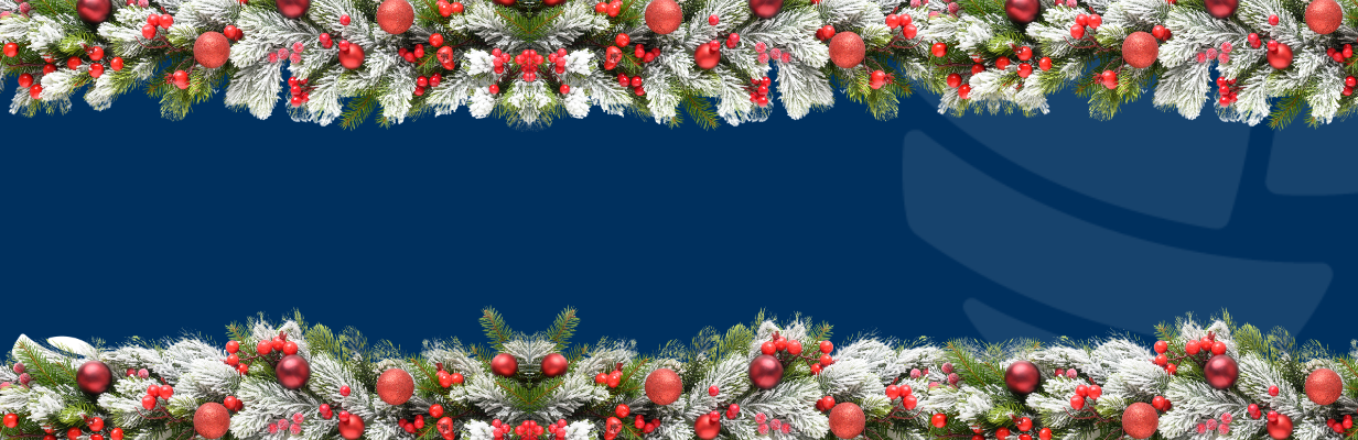 Het Instituut van Internal Auditors wenst u fijne feestdagen!