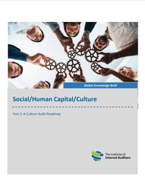 Social/Human Capital/Culture: Part 2: A Culture Audit Roadmap