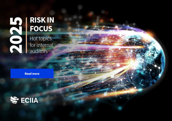 Risk in Focus 2025 Hot topics for Internal Auditors