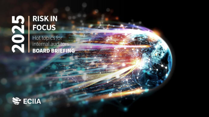 Board Briefing Risk in Focus 2025