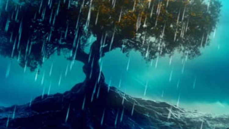 From Reaction to Readiness: The Shift Toward Organizational Resilience