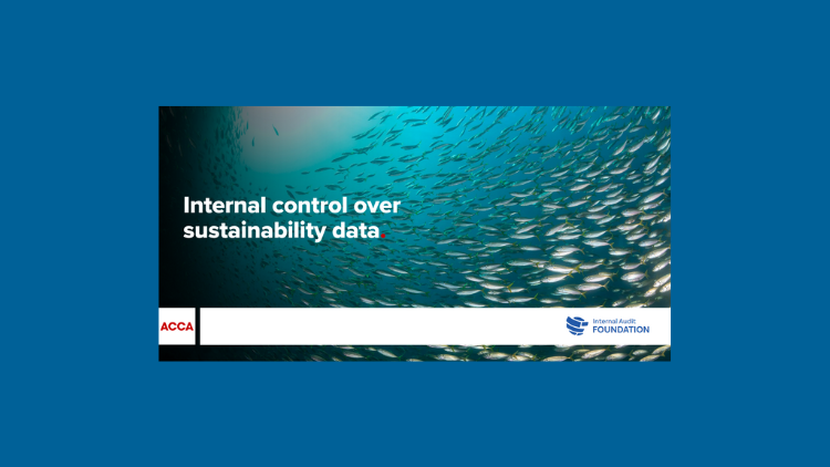Internal control over sustainability data