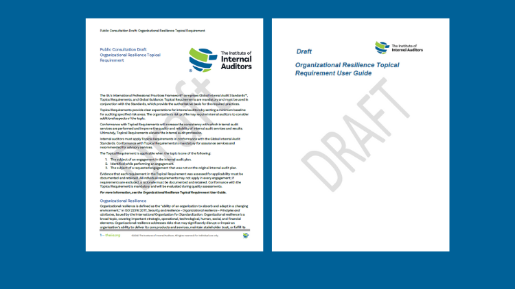 Consultatie nieuwe Topical Requirement Organizational Resilience – reactie IIA Nederland