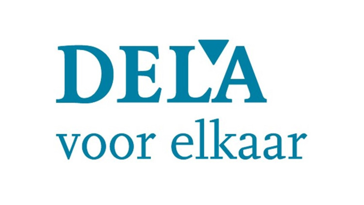 Vacature bij DELA - Senior Internal IT Auditor (RE)