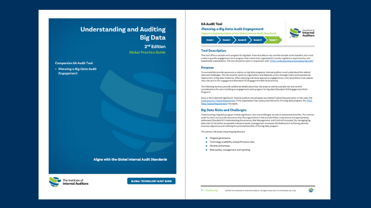 Understanding and Auditing Big Data
