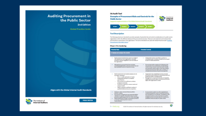 Global Practice Guide: Auditing Procurement in the Public Sector, 2nd Edition