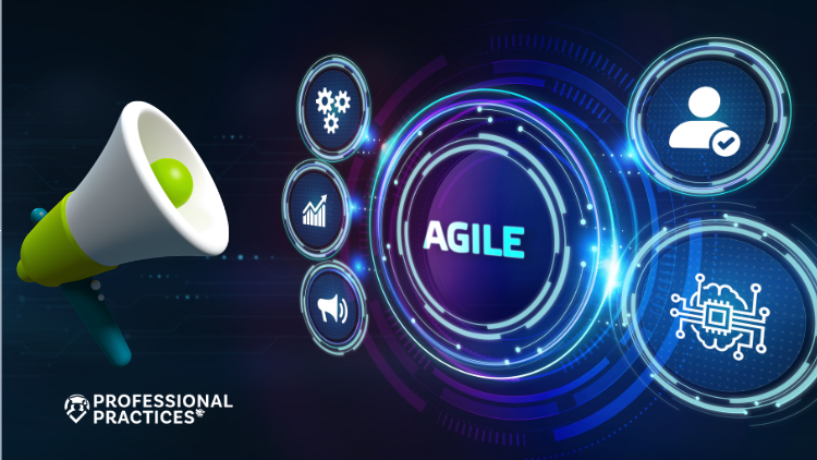 Hoe wordt agile auditing toegepast binnen internal audit?