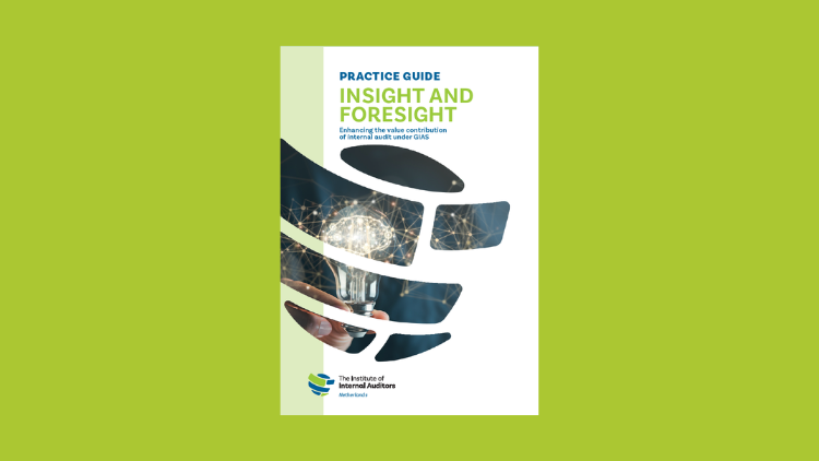 IIA Netherlands publishes Practice Guide on Insight and Foresight