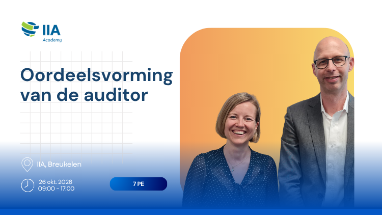 Oordeelsvorming van de auditor