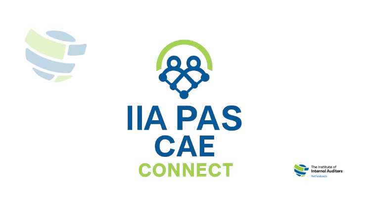 IIA PAS CAE Connect - Managing boardroom expectations