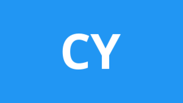 Commissie Young Professionals