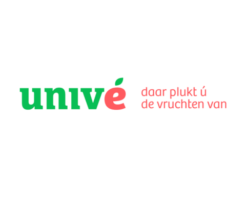 (junior) Internal Auditor