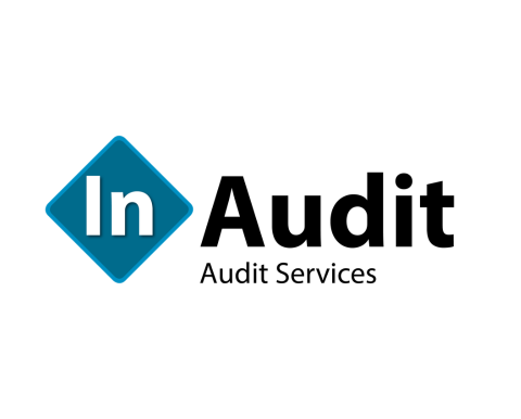 (Senior) Auditor