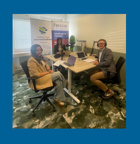 S3A2: High Performing Audit Teams