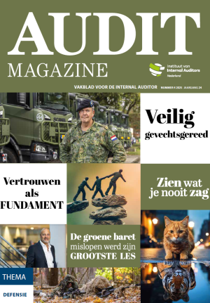 Audit Magazine vakblad