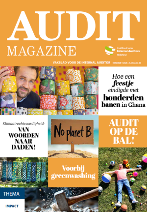 Audit Magazine vakblad