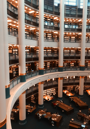 Opleidingsinstituten